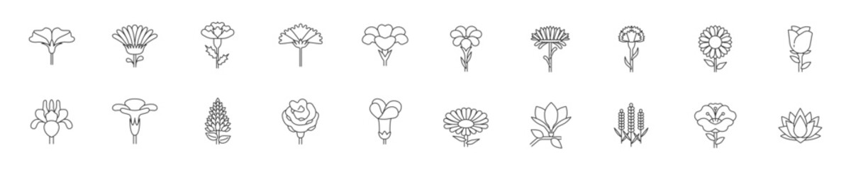 Set of different flowers icon set. Premium quality objects. Editable strokes. Vector.