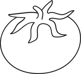 Obraz premium Vegetable Outline