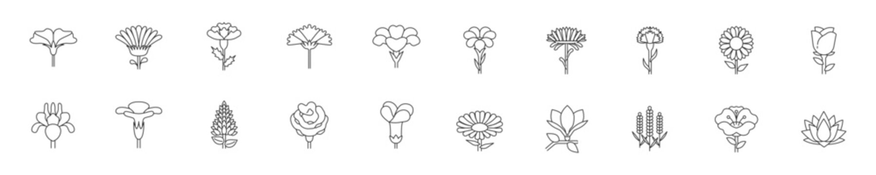 Set of different flowers icon set. Premium quality objects. Editable strokes. Vector.