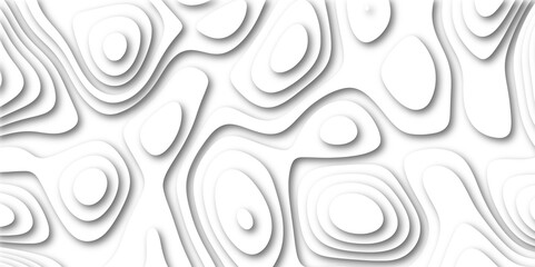Vector abstract white paper cut banner. White waves decorative papercut design. Modern White wavy vector background. White paper cut background with 3D style and gradient white color. 
