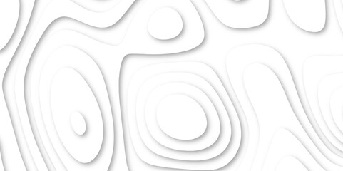 Vector abstract white paper cut banner. White waves decorative papercut design. Modern White wavy vector background. White paper cut background with 3D style and gradient white color. 