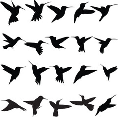 Set of silhouettes hummingbirds. Birds vector © Bayurey