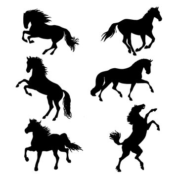 silhouette set of a horses vector illustration
