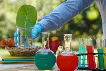 Science experiment, colorful liquid substance in transparent test bottles. Leaf color extraction....
