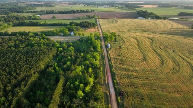 Beautiful Southern landscape in Alabama in morning sunlight with green farm fields and country dirt roads