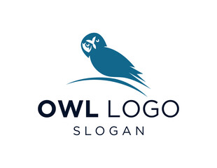 Logo design about Owl on a white background. created using the CorelDraw application.