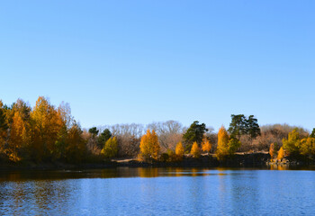 Autumn trees on the shore of a forest lake