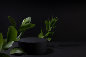 Obraz na płótnie Canvas Rich black abstract stage with one cylinder podium mockup with bright green tropical branch in hard light, shadows in exquisite beauty summer style for presentation cosmetic products, goods, design.