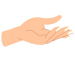 
Outstretched hand of a woman.
Helping hand.  Vector.