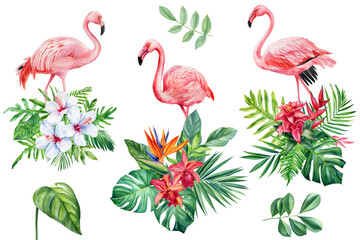 Exotic flowers, palm leaves and flamingos on isolated white background, watercolor botanical painting, elements set