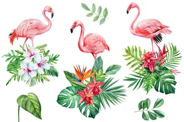 Papier Peint photo Flamingo Exotic flowers, palm leaves and flamingos on isolated white background, watercolor botanical painting, elements set