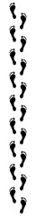 vertical upright of footprint on white transparent background