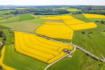 Aerial view of flowering rapeseed fields in the Taunus near Taunusstein/Germany