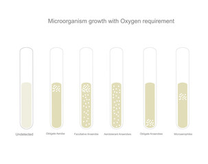 The bacterial identification of microorganism growth with oxygen requirement that show the bacterial type : Obligate Aerobe,Facultative Anaerobe,Aerotolerant Anaerobe,Obligate anaerobe,Microaerophiles