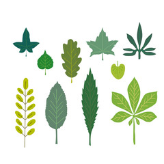 vector set of leaves