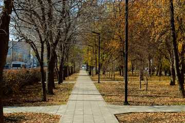 Pedestrian path between the alley of trees and lampposts in the autumn park