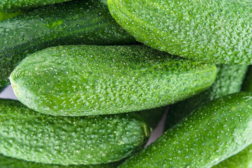 Ripe, fresh, raw  cucumbers close up
