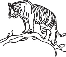 Tiger Vector black and white line art vector silhoutte 