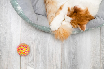 knitted toy ball near a sleeping cat
