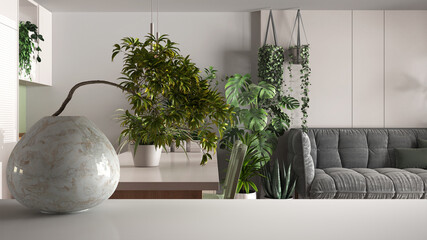 White mat table shelf with round marble vase and potted bonsai, green leaves, over living room and kitchen with sofa, minimalist interior design, kitchen, urban jungle concept idea