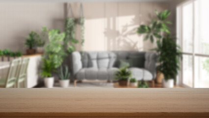 Fototapeta na wymiar Empty wooden table, desk or shelf with blurred view of kitchen, dining and living room with sofa with many houseplants. Urban jungle interior design concept