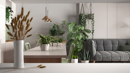 White table top or shelf with straws, dry plants, ornament, ears, sheaf, branch in vase, over kitchen, living and dining room, houseplants, architect interior design, urban jungle