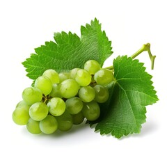 Obraz premium bunch of green grapes