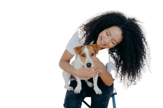Glad dark skinned girl plays with jack russell terrier dog, have fun together, poses against white background, dressed casually. Happy Afro girl poses with pet indoor. People, animals, fun concept
