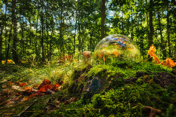 Lensball - Natur - Transparenz - Zerbrechlich - Ecology - Glass Sphere - High quality photo with...