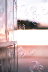 soap bubbles with reflections on a glass wall 