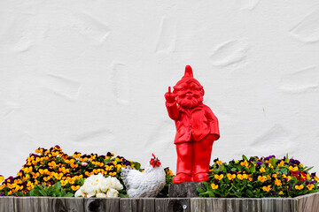 A garden gnome in a flower box shows his middle finger
