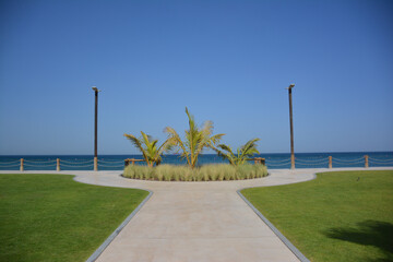 Modern Umbrella Beach Fujairah United Arab Emirates