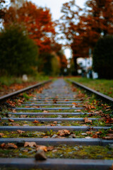 Rails tracks with leaves in autumn