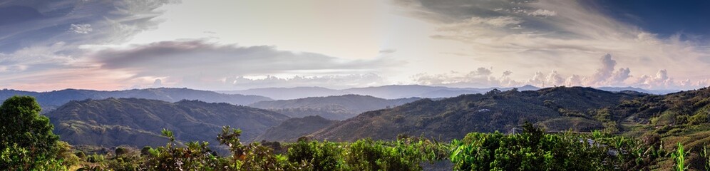 Fototapeta premium Perfect coffee colombian landscapes in the mountains
