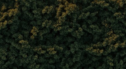 trees in the forest, top view, area view, isolated on white background, 3D illustration, cg render