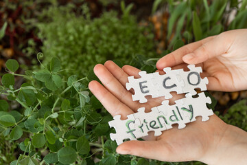 Germination of microgreens. Germination of seeds at home.