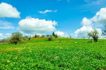 Frühlingswanderung durch die wunderschöne Rhön rund um die Wasserkuppe - Hessen - Deutschland