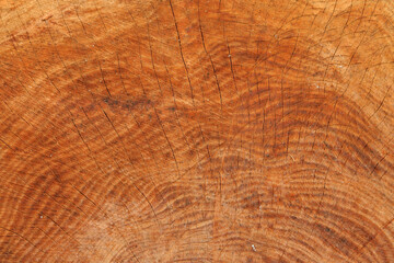 Naklejka premium wood texture