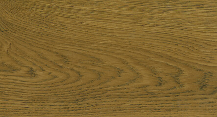 oak wood texture
