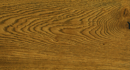 oak wood texture