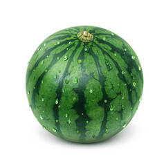 スイカのイラスト　リアル