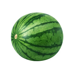 スイカのイラスト　リアル