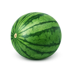 スイカのイラスト　リアル