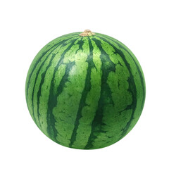 スイカのイラスト　リアル