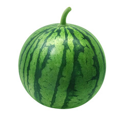 すいか イラスト リアル