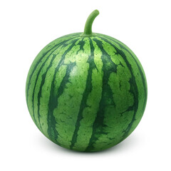 スイカのイラスト　リアル