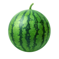 スイカのイラスト　リアル
