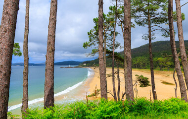 beach in Galicia,  atlantic ocean, beach and forest