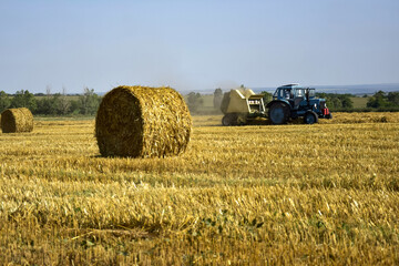 Fototapeta na wymiar Harvested wheat field with large round bales of straw in summer. Tractor forming bales is visible background. Farmland with blue sky. Copy space. Close-up. Selective focus.