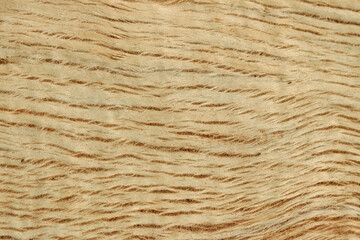 wood texture
